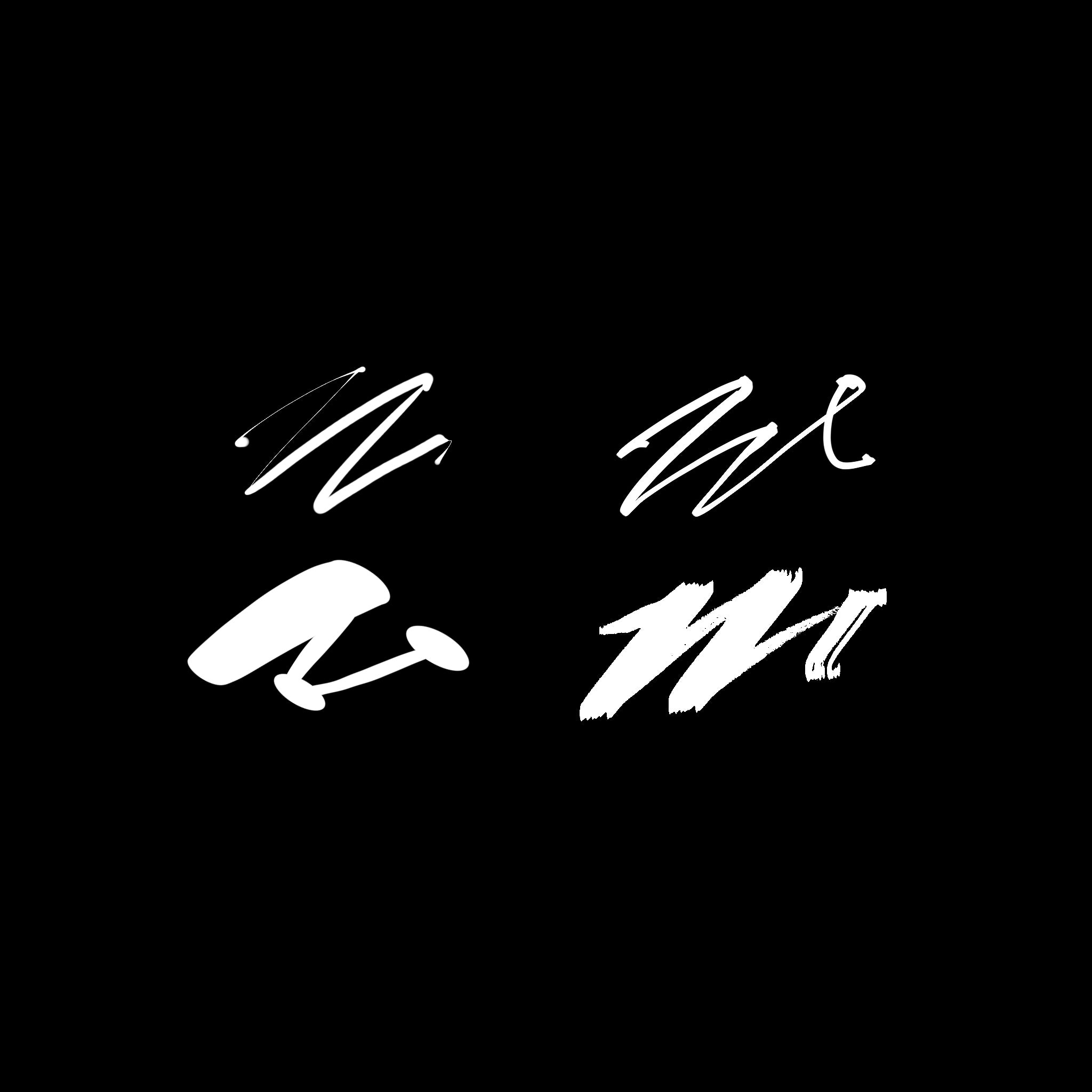 CALLIGRAPHY BRUSH SET ⭐️